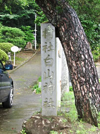 ЍW