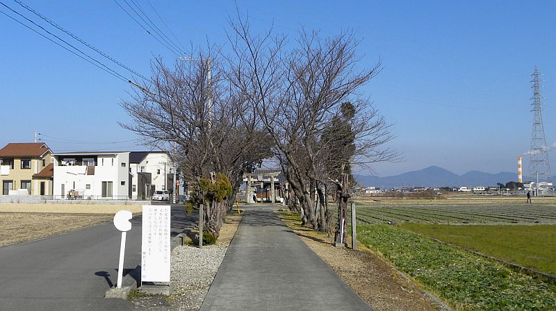 王子和多津美神社